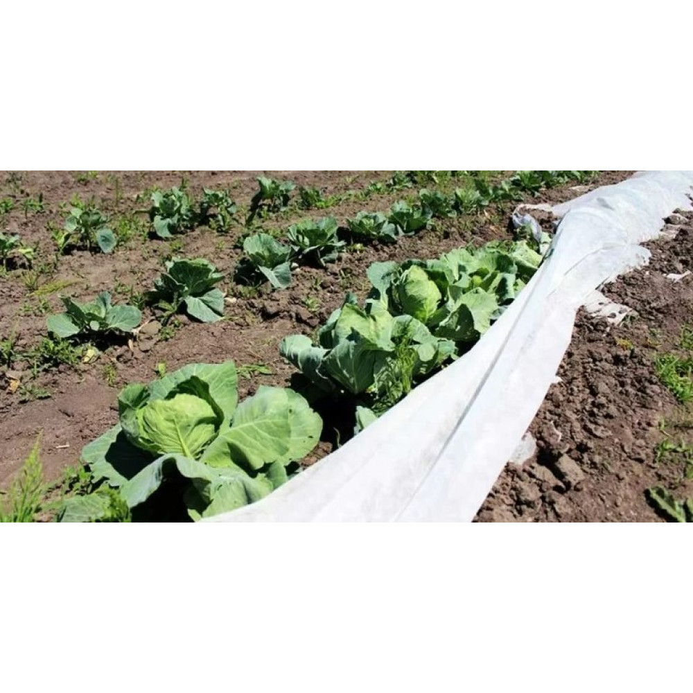 Агроволокно Agreen 23 г/м² белое 8,5 х 100 м с укрепленным краем 19476