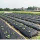 Агроволокно Agreen 50 г/м² чорне 1,07 х 100 м 57894
