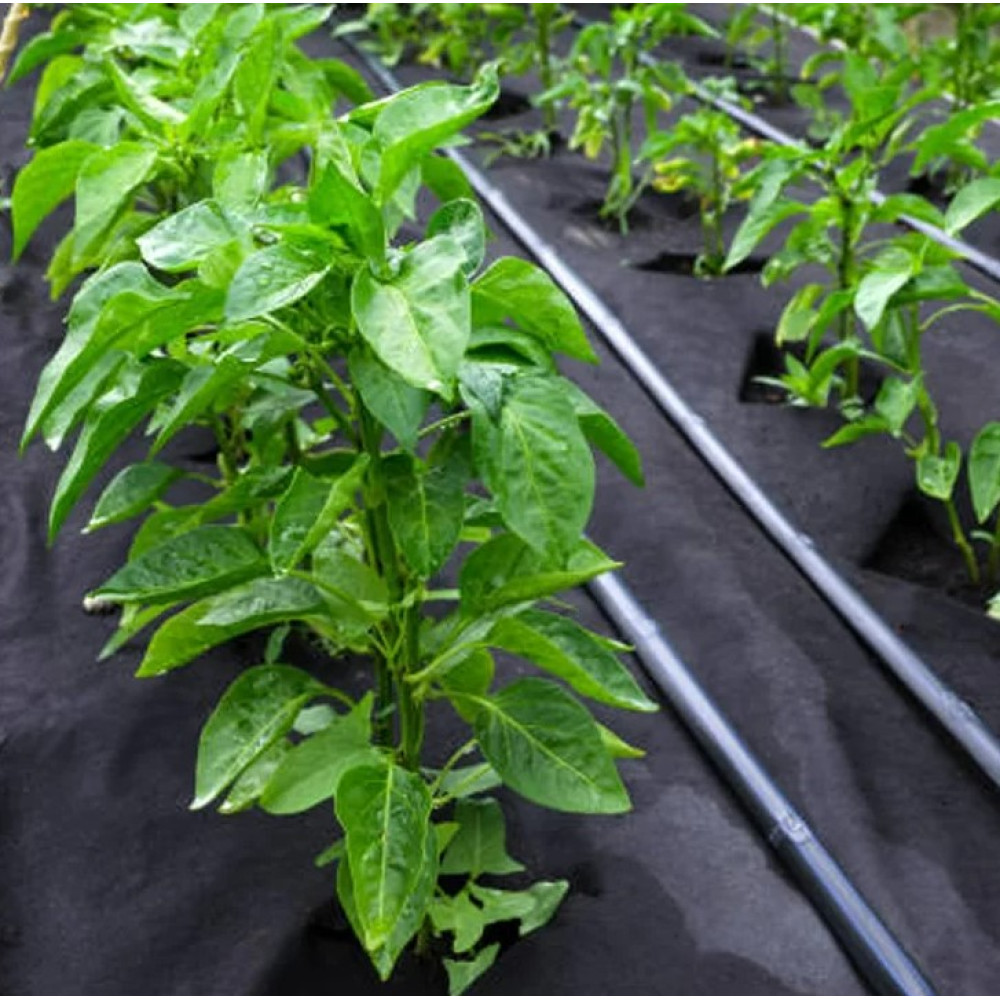 Агроволокно Agreen 50 г/м² чорне 1,07 х 100 м 57894