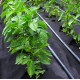Агроволокно Agreen 50 г/м² чорне 1,07 х 100 м 57894