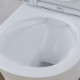 Унітаз підвісний AM.PM Tender безободковий із сидінням Soft Close (C45A1700SC)