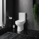 Унітаз-компакт AM.PM SPIRIT FlashClean із сидінням Soft Close (C708600SC)