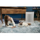 Очищувач повітря Rowenta Pure Air PU3040F0