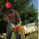 Цепная электрическая пила Black&Decker CS2040