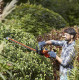Кущоріз електричний Black&Decker BEHTS501