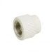 Муфта PPR Blue Ocean 25х3/4" ВР SD00006382