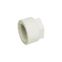Заглушка PPR Blue Ocean з різьбленням 20х1/2" ВР SD00004625