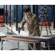 Шуруповерт-дриль акумуляторний Bosch Professional GSR 18 V-50 0.601.9H5.000