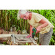 Шуруповерт-дриль акумуляторний Bosch EasyDrill 1200 12В 0.603.9D3.007