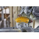 Пила торцювальна акумуляторна DeWalt з АКБ та ЗП DCS727T2