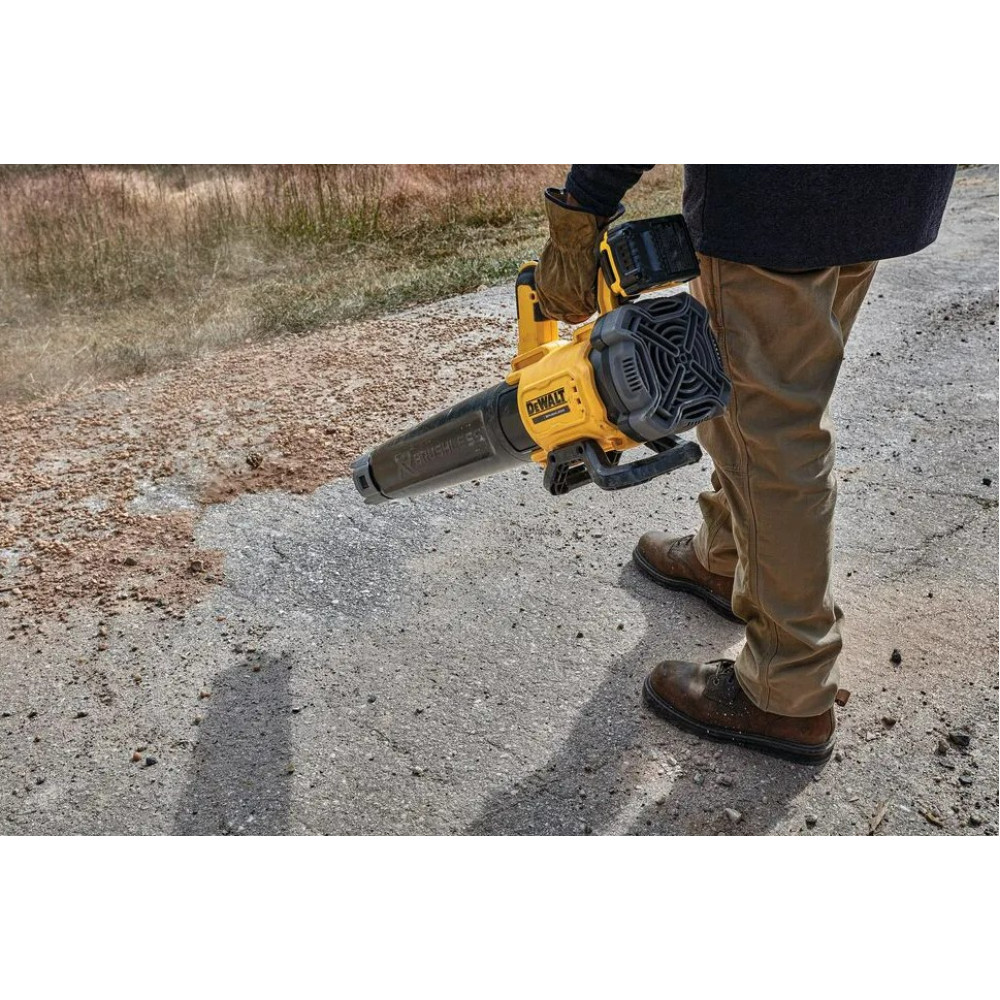 Воздуродувка аккумуляторная DeWalt DCMBL562P1