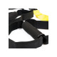 Петлі EasyFit TRX PRO Pack-2 (P2) (EF-2356)