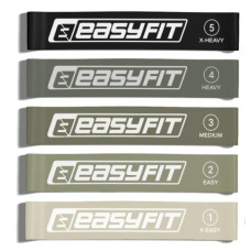 Резинки для фитнеса EasyFit MonoBand набор 5 шт (EF-1813-GY)