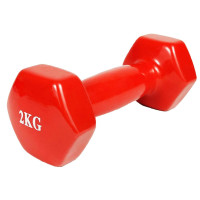 Гантель для фітнесу 2.0 кг EasyFit із вініловим покриттям червона (EF-0020-R)