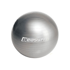 Мяч для фитнеса EasyFit 55 см серый (EF-3006-GY)