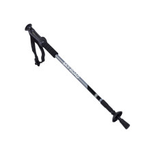 Палка для скандинавской ходьбы EasyFit SKY ROAD серая 1 шт (EF-2471-G)