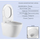 Набор Qtap Nest 4 в 1 подвесной унитаз Robin 520x365x365 + комплект инсталляции QT13332381AW47498