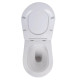 Набор Qtap Nest 4 в 1 подвесной унитаз Robin Ultra Quiet 520x365x365 + комплект установки QT13332381AW47503