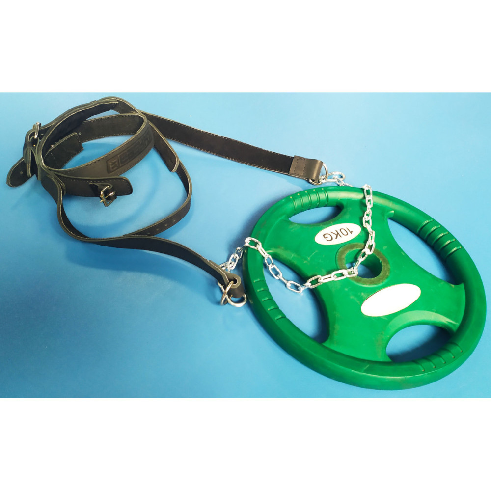 Упряж EasyFit BISON чорна (шкіра) (EF-HLBSNBK)