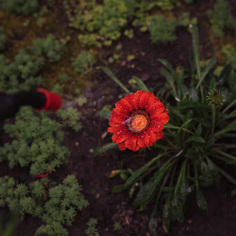 Опрыскиватель пневматический Flora 8 л (5003234)