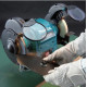 Точильний верстат Makita GB 602 W 250 Вт