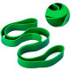 Гумова петля для підтягувань та тренувань Newt Pro Loop Bands 20-45 кг зелена NE-B-452-20-45