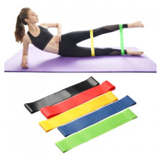 Набор эспандеров министричек Newt Fit Loops Set 5 шт. NE-ESP-5