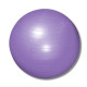 М'яч для фітнесу (фітбол) Power System PS-4013 Ø75 cm PRO Gymball Purple (PS-4013_75cm_Purple)
