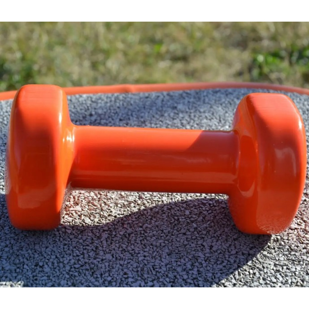 Гантель вінілова PowerPlay 1 кг PP_4103 Помаранчева 1 шт (PP_4103_1kg)