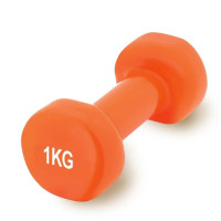 Гантель вінілова PowerPlay 1 кг PP_4103 Помаранчева 1 шт (PP_4103_1kg)