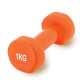 Гантель вінілова PowerPlay 1 кг PP_4103 Помаранчева 1 шт (PP_4103_1kg)