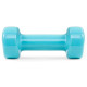 Гантелі вінілові PowerPlay 2 * 0,5 кг PP_4103 Блакитні 2 шт (PP_4103_2*0,5kg)