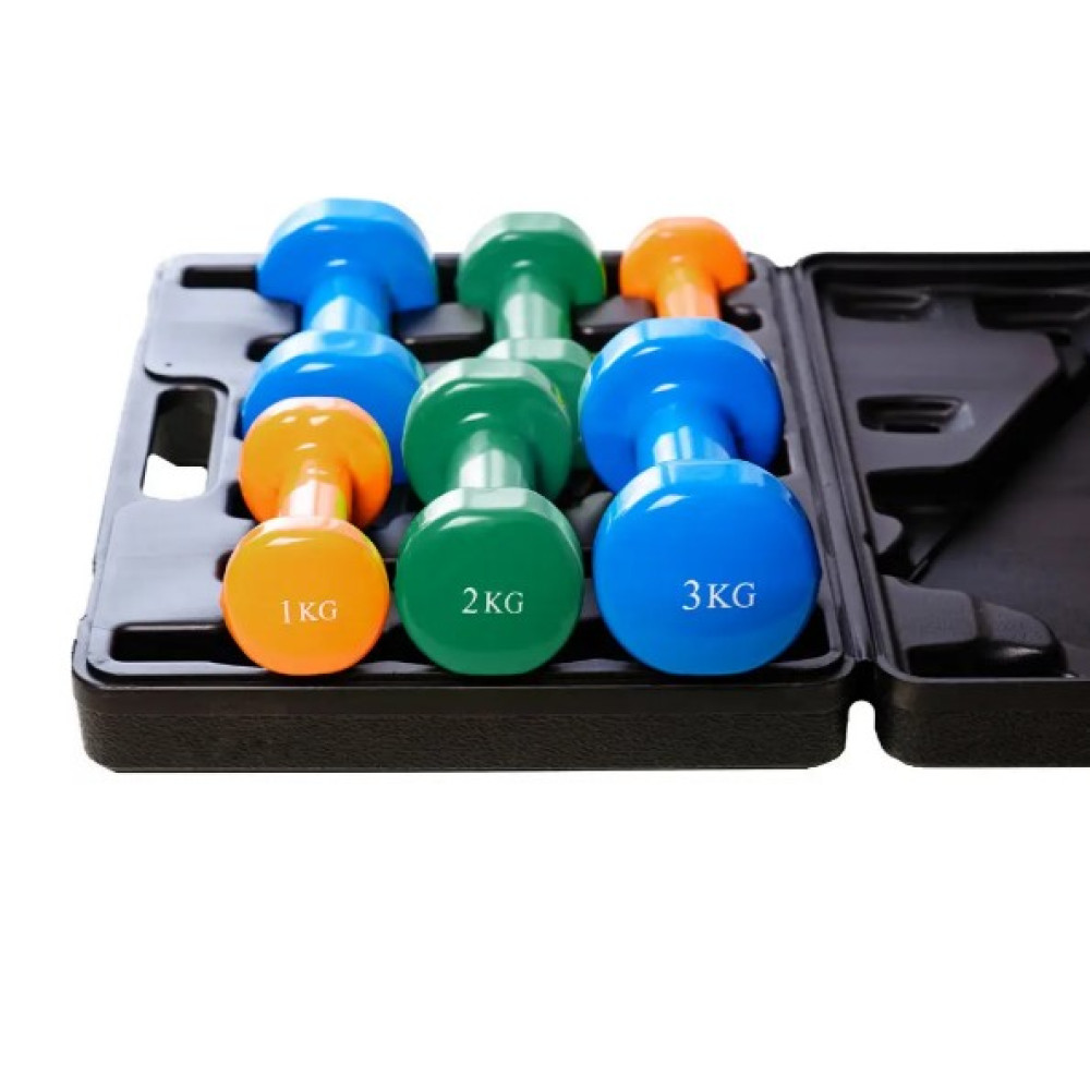 Набір гантелей в кейсі 12 кг. PowerPlay 4118 Fitness Dumbells (2 шт*1 кг, 2 шт*2 кг, 2 шт*3 кг) (PP_4118_12kg)