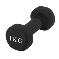Гантель виниловая PowerPlay 1 кг PP_4121 Черная 1 шт (PP_4121_1kg)