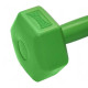 Гантель композитна PowerPlay 4124 Hercules 2 кг Зелена 1 шт (PP_4124_2kg)