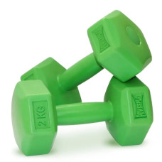 Гантели композитные PowerPlay 4124 Hercules 2*2 кг Зеленые 2 шт (PP_4124_2kg_2in)