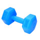 Гантелі композитні PowerPlay 4124 Hercules 2*3 кг Сині 2 шт (PP_4124_3kg_2in)