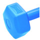 Гантелі композитні PowerPlay 4124 Hercules 2*3 кг Сині 2 шт (PP_4124_3kg_2in)