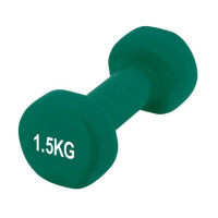 Гантель виниловая PowerPlay 4125 Achilles 1.5 кг Зеленый 1 шт (PP_4125_1.5kg)