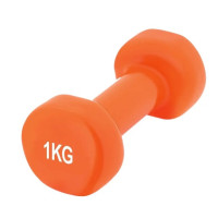 Гантель виниловая PowerPlay 4125 Achilles 1 кг Оранжевая 1 шт (PP_4125_1kg)