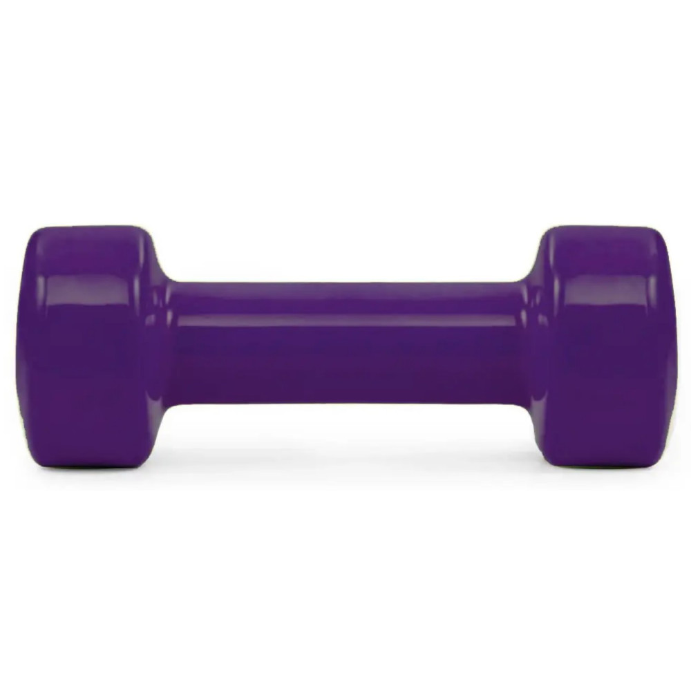 Гантель виниловая PowerPlay 4125 Achilles 2.5 кг Фиолетовый 1 шт (PP_4125_2.5kg)