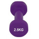 Гантель виниловая PowerPlay 4125 Achilles 2.5 кг Фиолетовый 1 шт (PP_4125_2.5kg)
