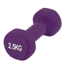 Гантель виниловая PowerPlay 4125 Achilles 2.5 кг Фиолетовый 1 шт (PP_4125_2.5kg)