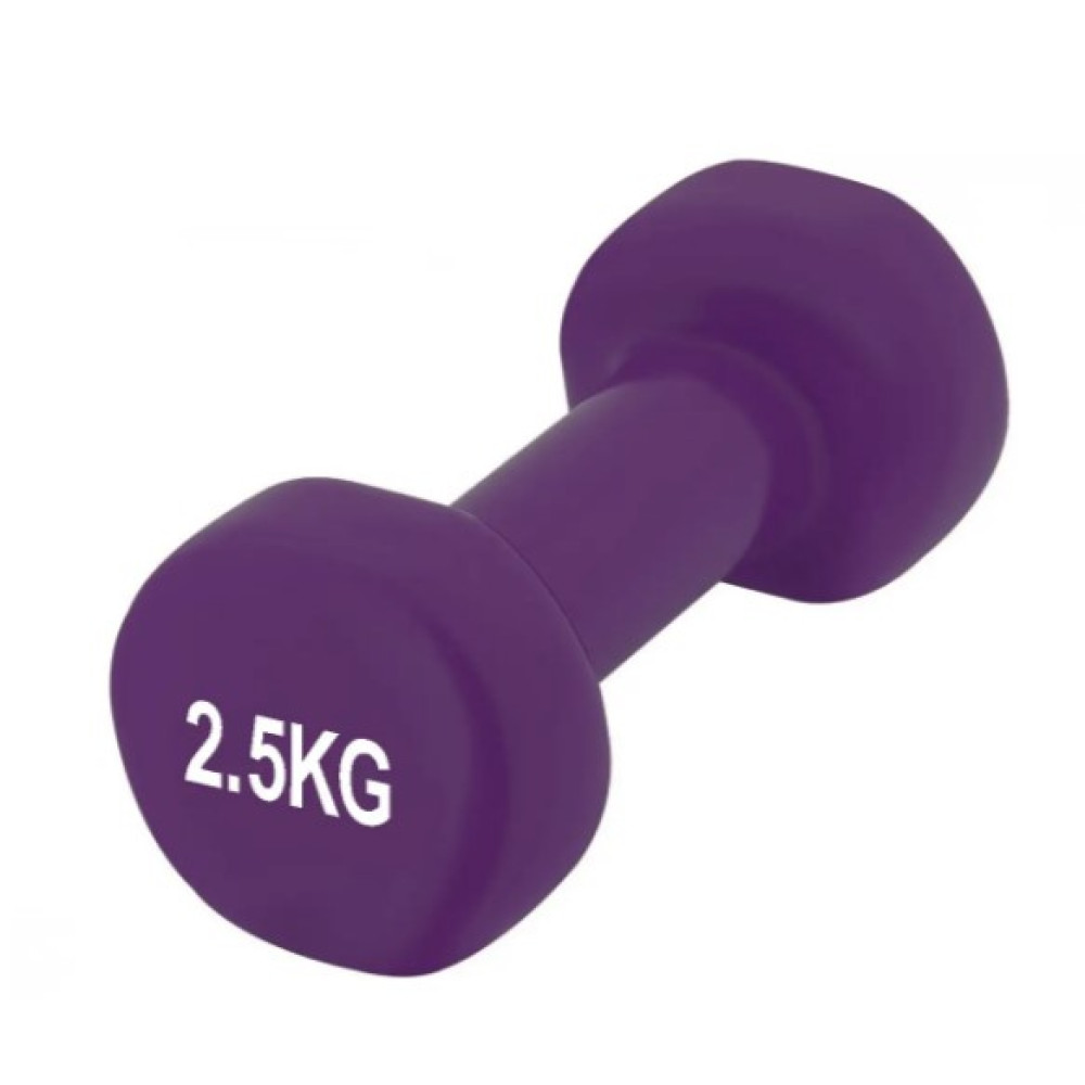 Гантелі вінілові PowerPlay 4125 Achilles 2*2.5 кг Фіолетові 2 шт + Гумка для фітнесу 7,5 кг (PP_4125_2.5kg_2in)