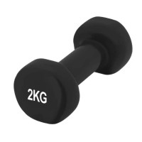 Гантель вінілова PowerPlay 4125 Achilles 2 кг Чорна 1 шт (PP_4125_2kg)