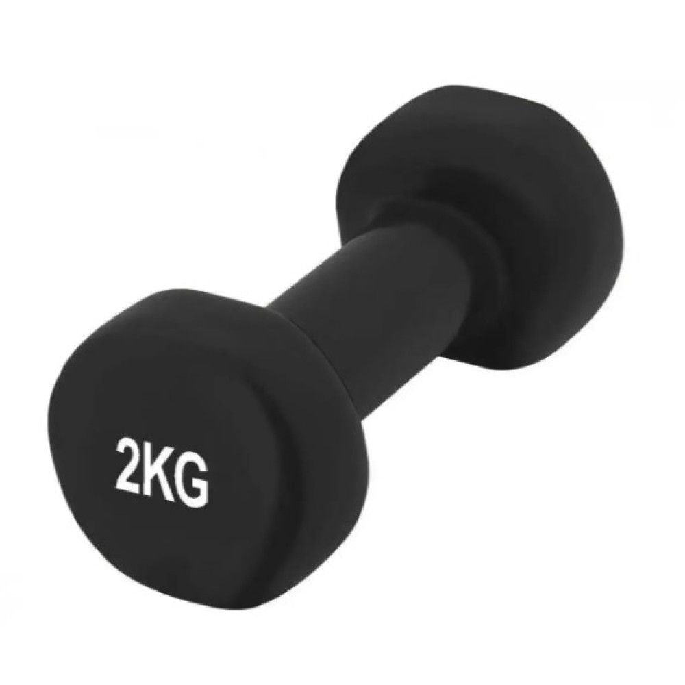 Гантелі вінілові PowerPlay 4125 Achilles 2*2 кг Чорні 2 шт (PP_4125_2kg_2in)