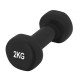 Гантелі вінілові PowerPlay 4125 Achilles 2*2 кг Чорні 2 шт (PP_4125_2kg_2in)