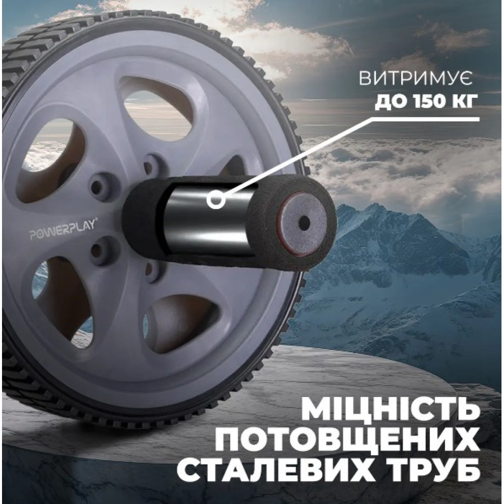 Колесо для преса PowerPlay PP-4345 Exercise Wheel (d16.5cm) Сіре (PP_4345)