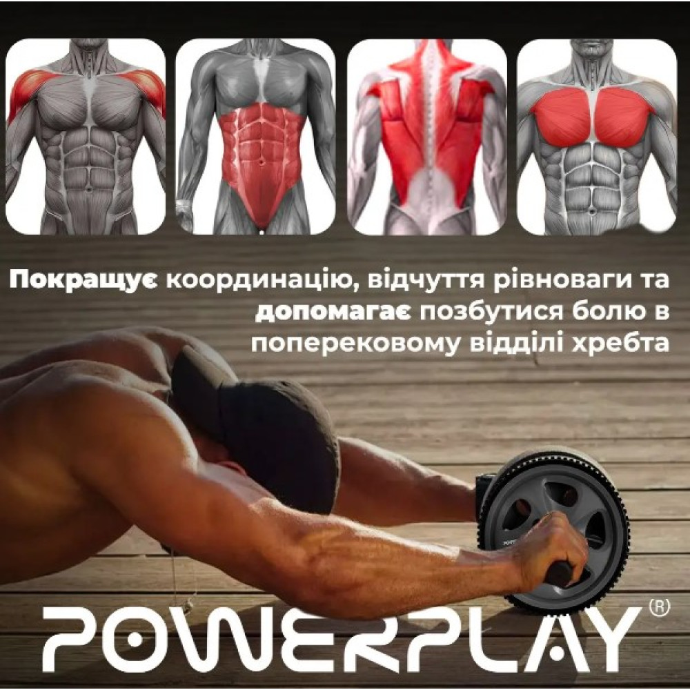 Колесо для преса PowerPlay PP-4345 Exercise Wheel (d16.5cm) Сіре (PP_4345)