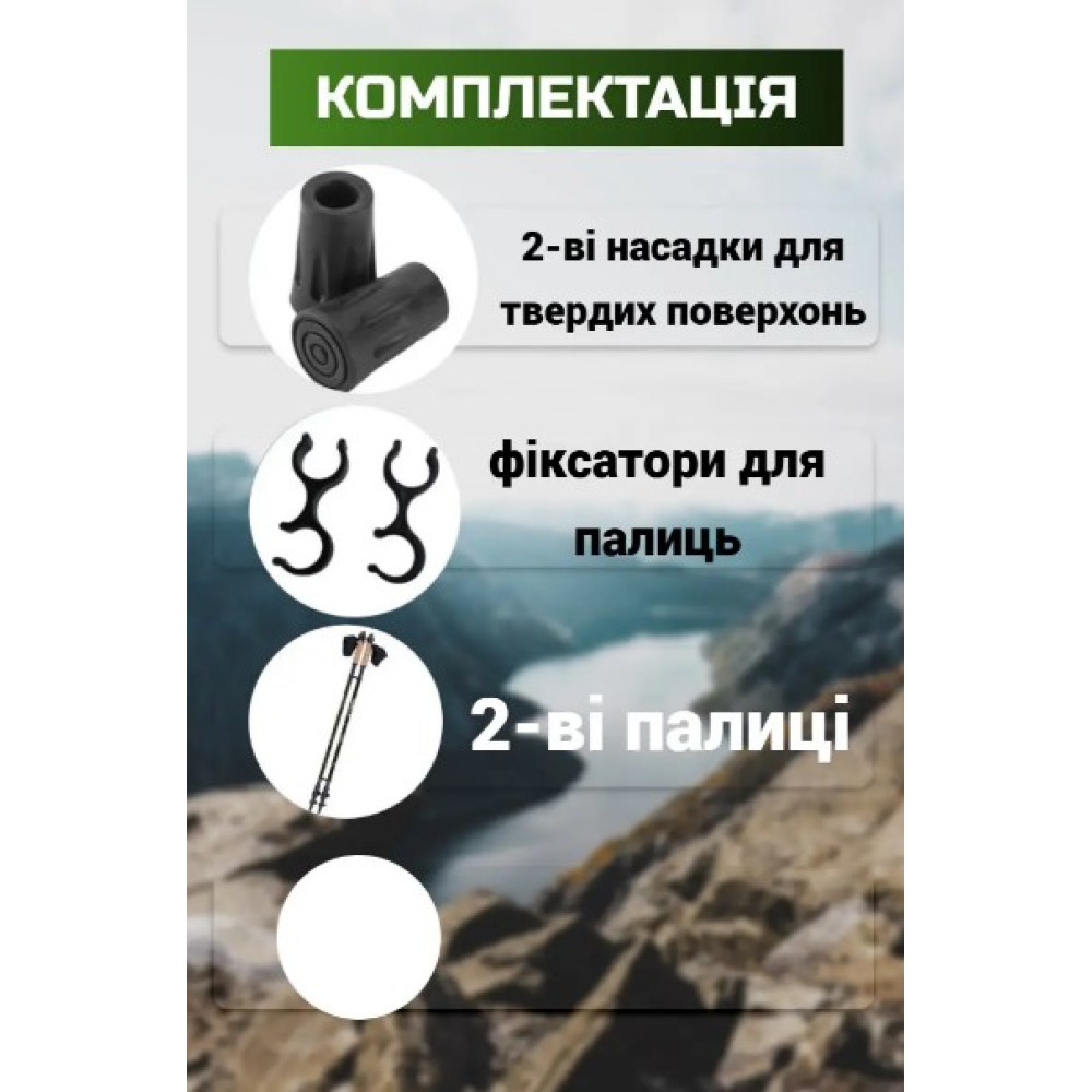 Палки для скандинавской ходьбы PowerPlay 9104 Lykke 80-135 см Black/Green (пара) (PP_9104_LYKKE)